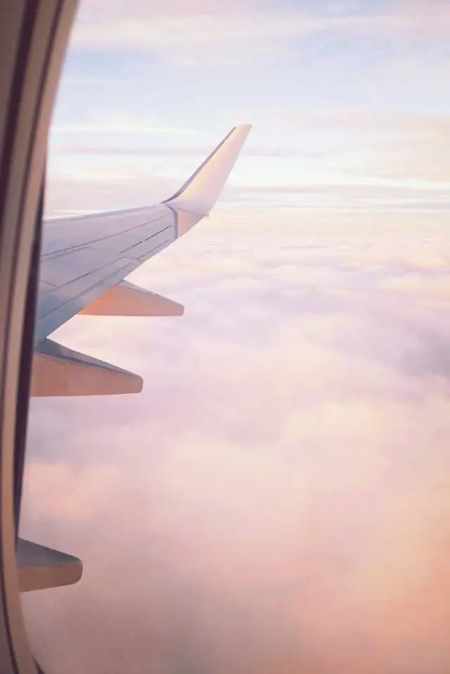 fly me to you