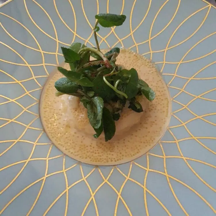 foodie escort astrein